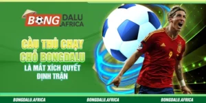 Cầu Thủ Chạy Chỗ Bongdalu - Là Mắt Xích Quyết Định Trận