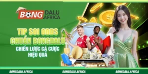 Tip Soi Odds Chuẩn Bongdalu - Chiến Lược Cá Cược Hiệu Quả