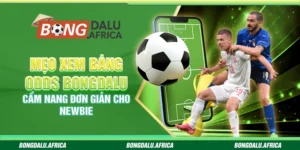Mẹo xem bảng odds bongdalu hiệu quả - Cẩm nang đơn giản cho newbie