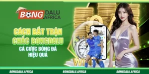 Cách Bắt Trận Chắc Bongdalu - Cá Cược Bóng Đá Hiệu Quả