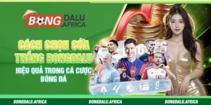 Cách Chọn Cửa Thắng Bongdalu - Hiệu Quả Trong Cá Cược Bóng Đá