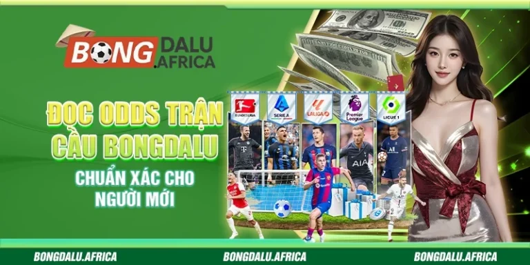Đọc Odds Trận Cầu Bongdalu – Chuẩn Xác Cho Người Mới 