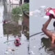 Prayagraj Flood News: ka pani 86m tak pahucha